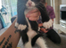 Tuxedo and black and white loving kittens