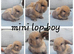 Mini lop babies available for reserve