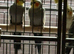 Baby cocktails