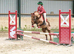 12.2hh WPB, 18-year-old gelding