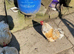 Pekin Bantam cockerels in need of new homes