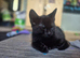 8 weeks old today