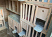 Pigeon nest boxes