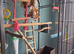 Large Bird Cage with Rolling Trolley Stand & Accessories &ndash; Great Condition