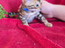 Pure bengal kittens