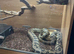 Carpet pythons