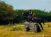 14.2hh Black Mare – Fun, Forward & Fabulous!