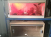 Vivarium display housing rack