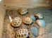 baby horsfield tortoises