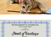 Tica Registered Purebred Savannah kittens