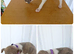 Stunning Whippet Puppies
