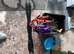 Job lot horse tack