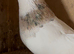 10 Iranian pigeons for sale