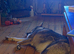 Shepsky