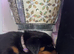 Beautiful kc Rottweiler puppies available