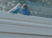 Bonded pair of cocks