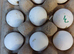 Snowflake bobwhite hatching eggs