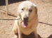 URGENT - LEON