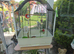 BEAUTIFUL EXHIBITION BUDGIES