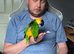 Silly tame 4 year old male Caique with cage