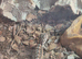 Baby bearded dragons