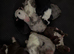 2 collie pups for sale. Male and female