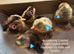 Hatching Eggs