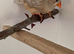 Unusual varieties of zebra finch