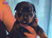 Last available Pup