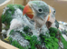 Alexandrine  Babies