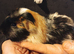 Beautiful singe baby boy needs a friend