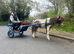 Perfect kids pony ride and drive