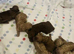 lyncham toy podles