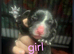 Puppy staffys