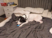 Rehome