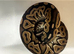 Baby royal python