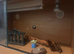 vivarium and accessories