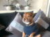 4yr old Little Boy