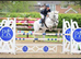 Show jumpers schoolmaster