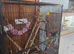Kakariki bird for sale.