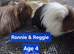 Bonded boys Reggie n Ronnie
