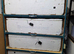 Reptile Incubator