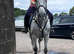 LOVELY TB FOR PART LOAN NEAR OTLEY