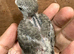 Young Budgies are available