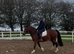 6 yr old allrounder