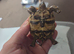 Leopard Tortoises