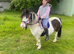 Super Safe Lead Rein Shetland Mare For Sale