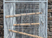 Large Bird Cage For Sale