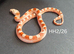 High pied hypo bloodred corn snake