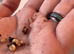 Baby African land snails